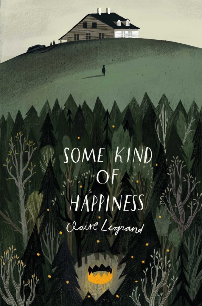 Cover of "Some Kind Of Happiness" by Claire Legrandcr. Amazon100-paged, book, read, pool, poolside, graphic novel