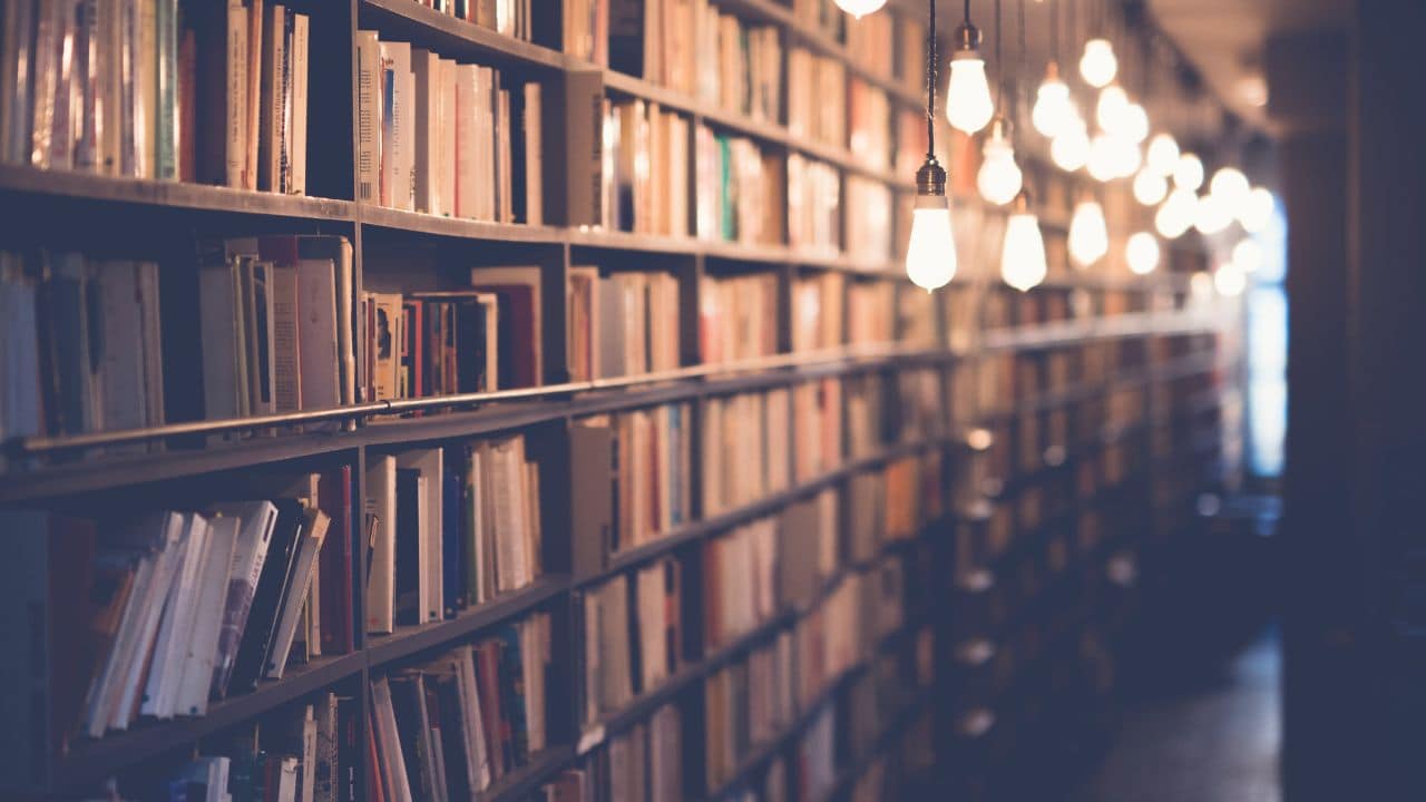 Book lovers guide to a beautiful day