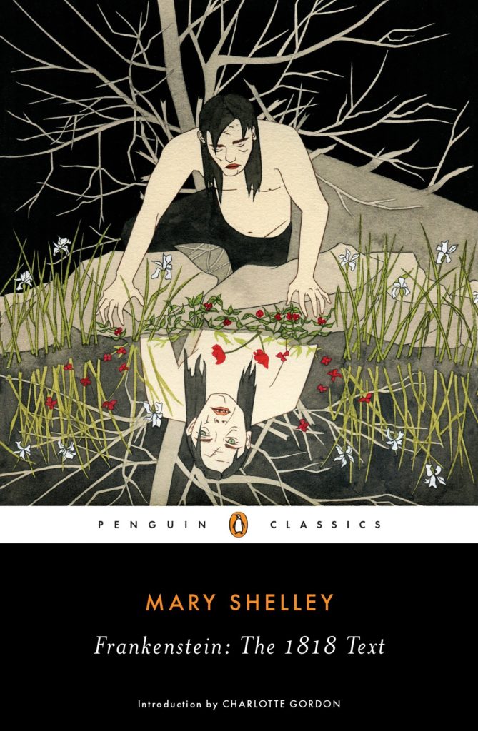 Frankenstein by Mary Shelley book cover