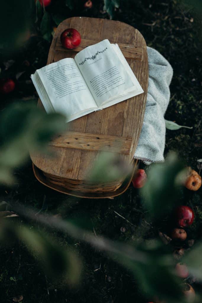 fairy-tale-book-picnic-basket