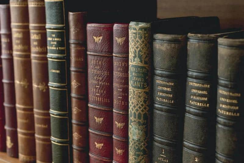 Reading books in the genre of your own writing, including both classics and contemporaries, can help you become a better editor.
