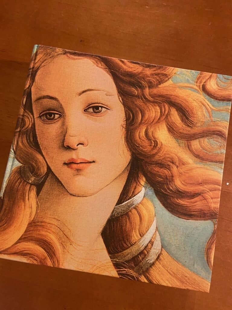clorence-the-paintings-and-frescoes-book-cover-womans-face-with-wind-blown-hair