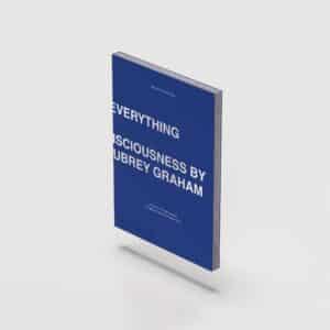 titles-ruin-everything-drake-cover-blue-book-with-white-text-floating-in-white-space