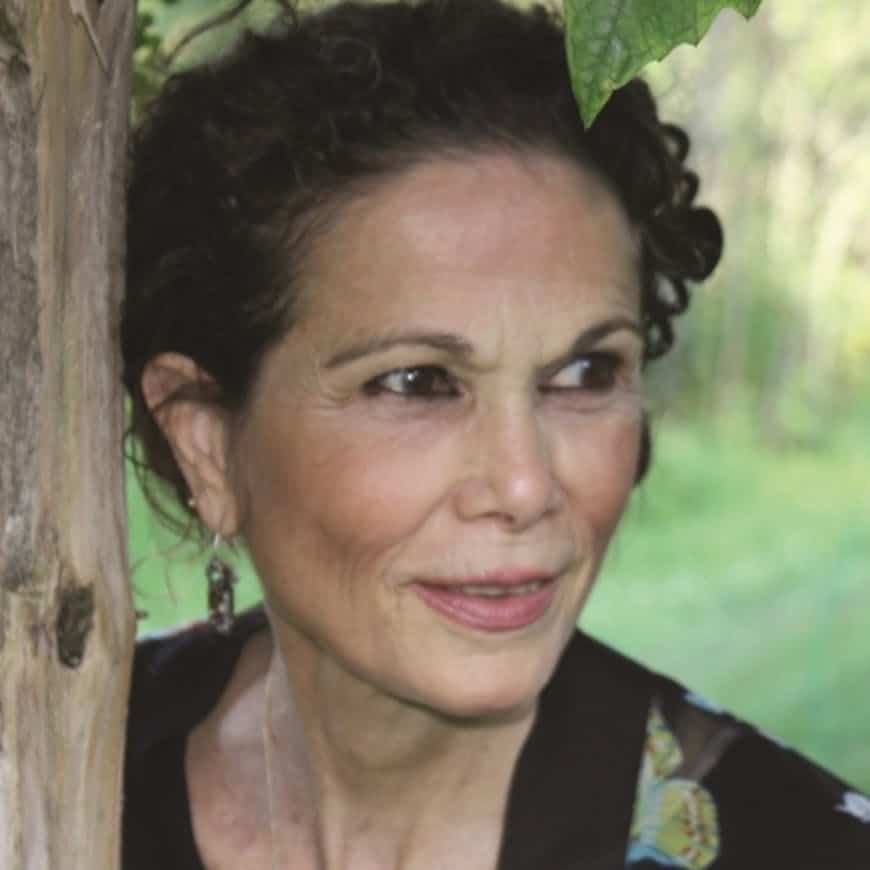 multilingual authors, exophony, diverse voices, multiculturalism julia alvarez
