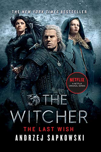 the-witcher-the-last-witch-cover-man-in-armor-funniest-book-characters