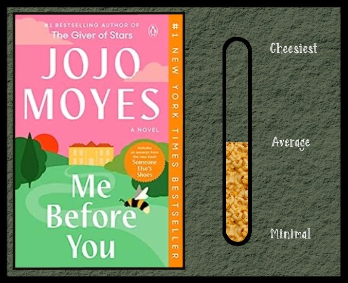 me-befpre-you=jojo-moyes-cartoon-house-and-yard-with-bee-book-cover-cheese-scale